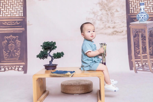 嘉鱼可爱的企鹅宝宝